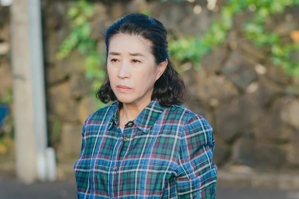 《歡迎回到三達里》10大看點&角色介紹:池昌旭.申惠善找回人生意義,治癒結局超圓滿!