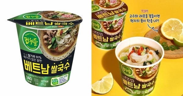 2024 Olive Young必囤低卡零食推薦:貝果脆片超涮嘴、BTS田柾國最愛康普茶瘦身助提神