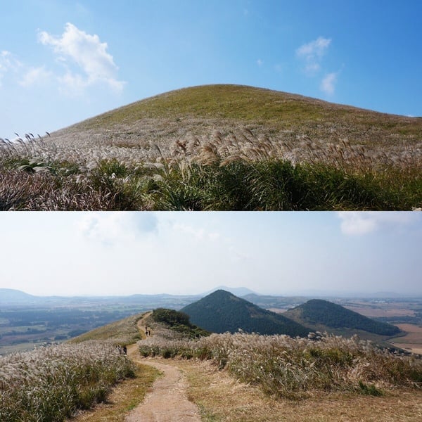 濟州島十大必訪景點推薦，韓劇、韓綜粉絲必朝聖！