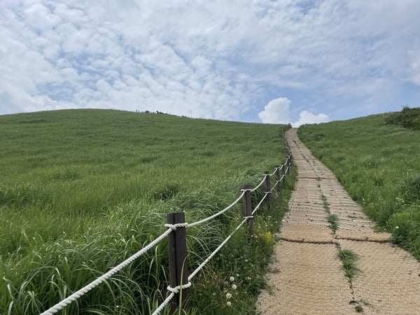 濟州島十大必訪景點推薦，韓劇、韓綜粉絲必朝聖！