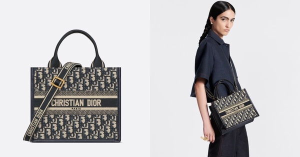 日本Dior漲價經典保值款:Book Tote