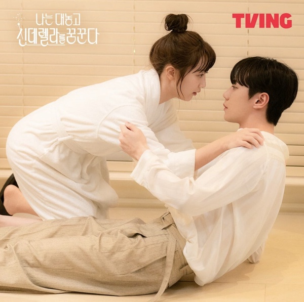 韓劇《我光明正大想成為灰姑娘》角色介紹&劇情看點