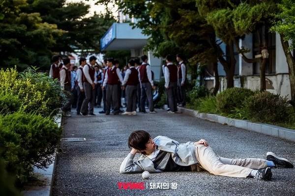《雖然不是英雄》結局獲讚!網評「值得更紅」韓劇,《碰撞搜查線》爆好評,它被封神劇