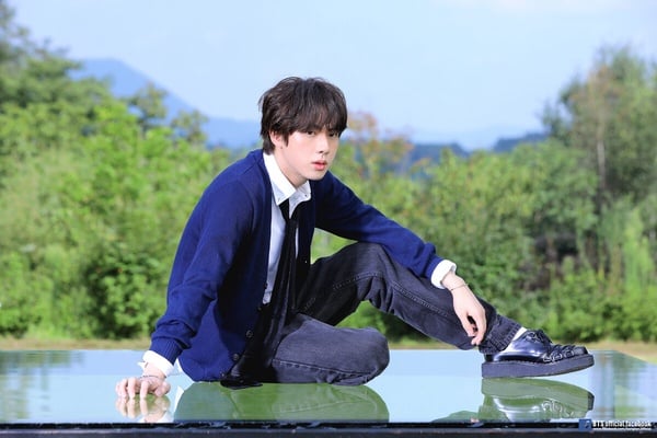 BTS金碩珍十件事BTS金碩珍十件事