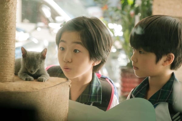10部「值得一追」Netflix懸疑台劇!《誰是被害者》看了停不下來,最後兩部錯過可惜!