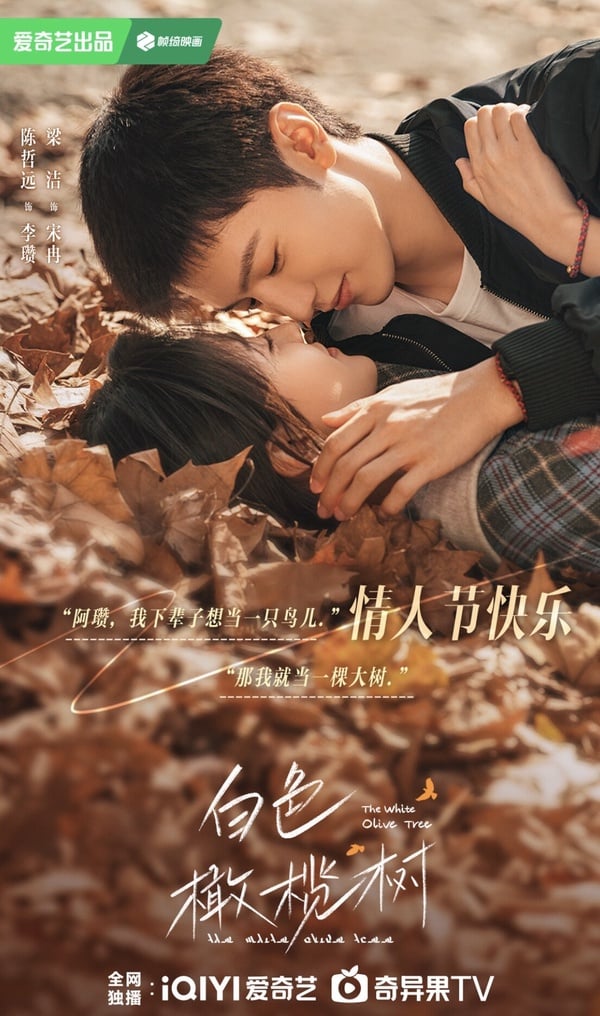《白色橄欖樹》劇情五大看點＆角色介紹