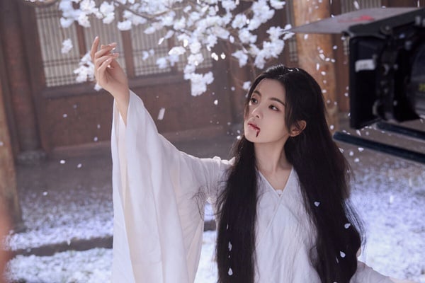 《墨雨雲間》12位古裝女神！花魁美度竟不輸《慶餘年》，還藏《甄嬛傳》《如懿傳》娘娘