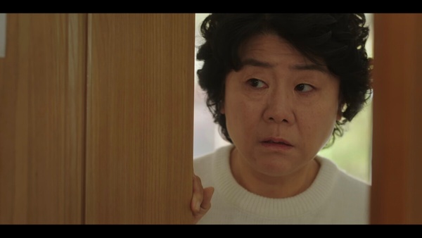 《她的日與夜》劇情看點+角色介紹:李姃垠變身飆演技,與崔振赫、白敘厚三角戀超心動