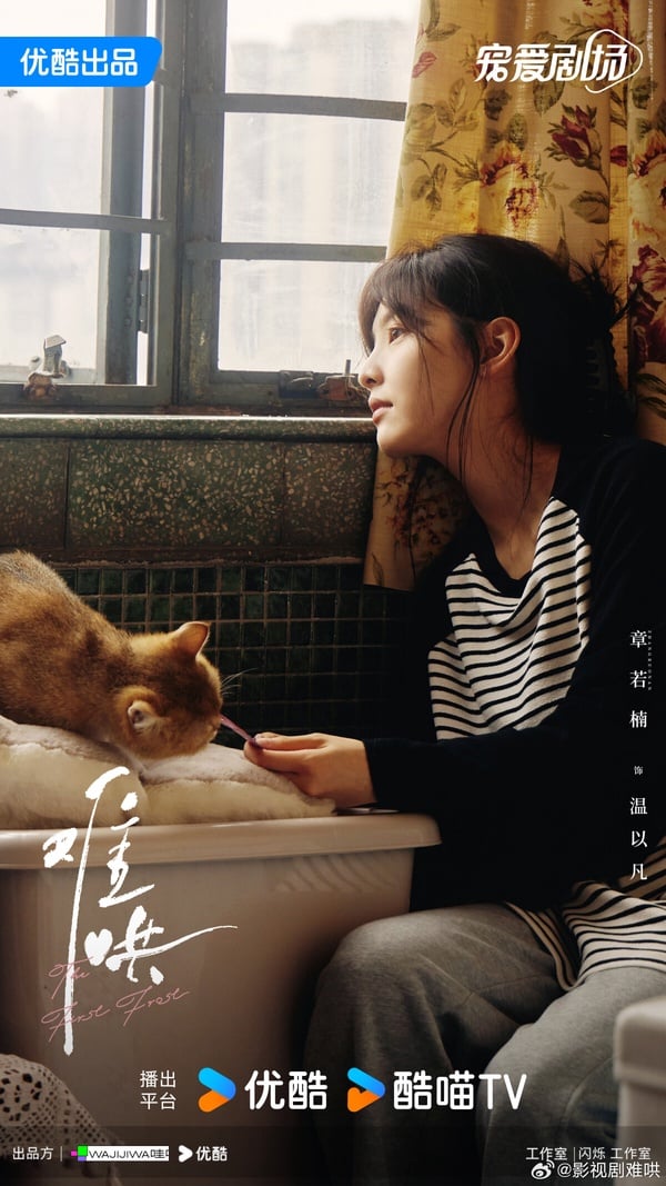 《偷偷藏不住》姐妹作《難哄》殺青！劇情看點＋角色介紹：