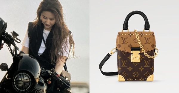 《玫瑰的故事》劉亦菲同款包6：Louis Vuitton Camera Box