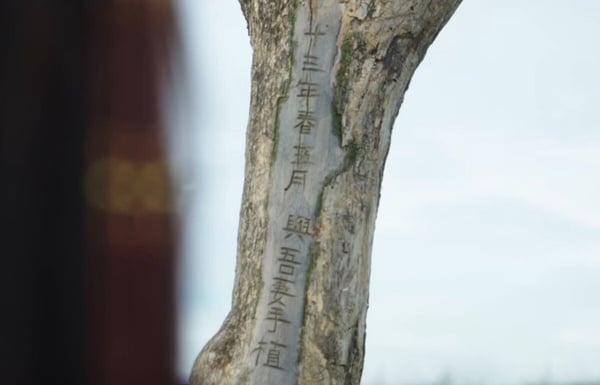 《墨雨雲間》不是最氣人!8部爛尾的重生古裝劇,《為有暗香來》看了心梗,第8部最傻眼