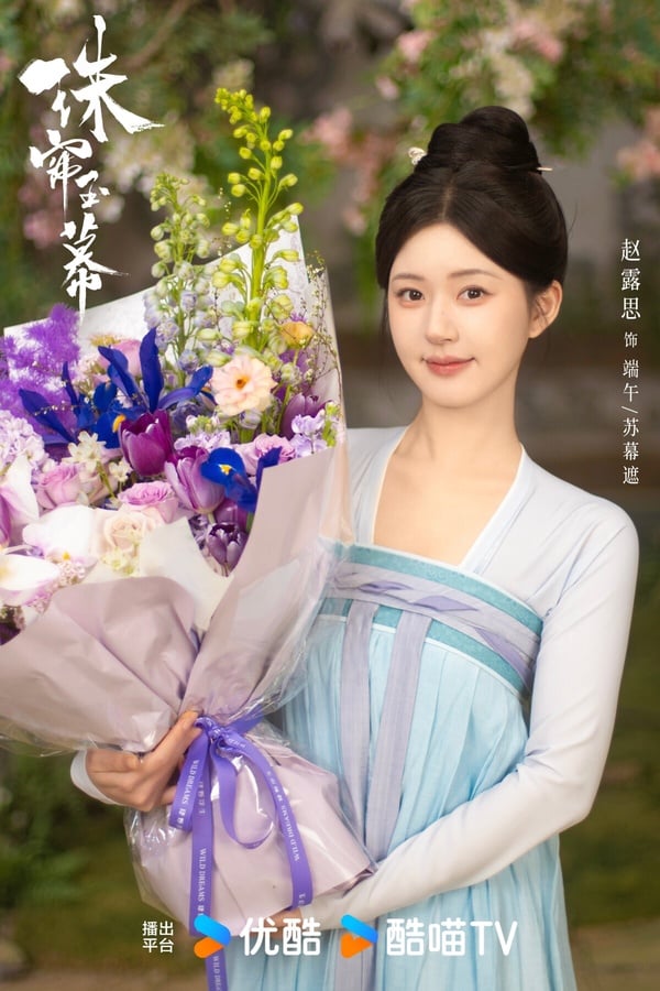 趙露思新劇《珠簾玉幕》劇情看點&角色介紹