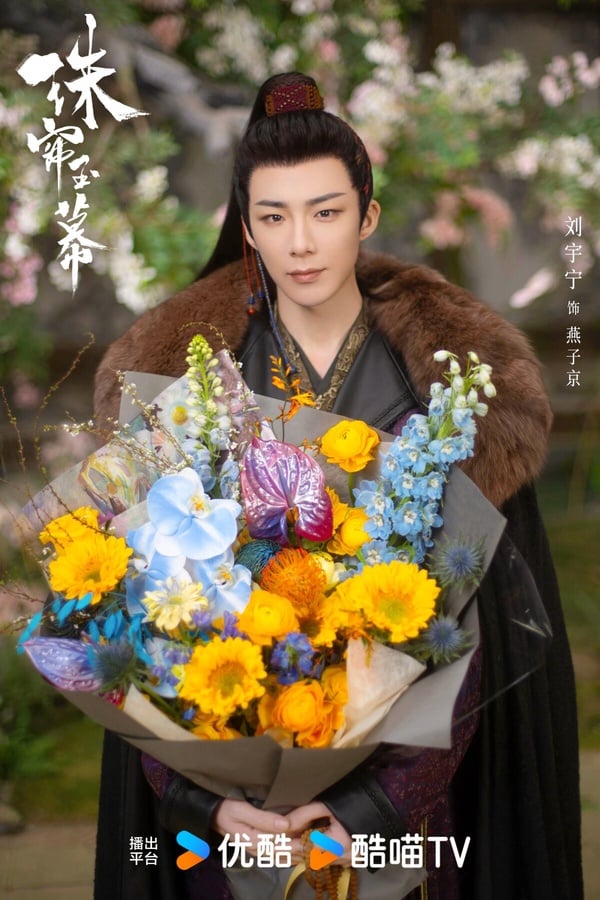 趙露思新劇《珠簾玉幕》劇情看點&角色介紹