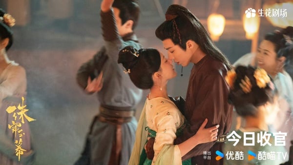 《珠簾玉幕》劇情看點&角色介紹:趙露思首部大女主劇,二搭劉宇寧賭命從商翻轉人生!
