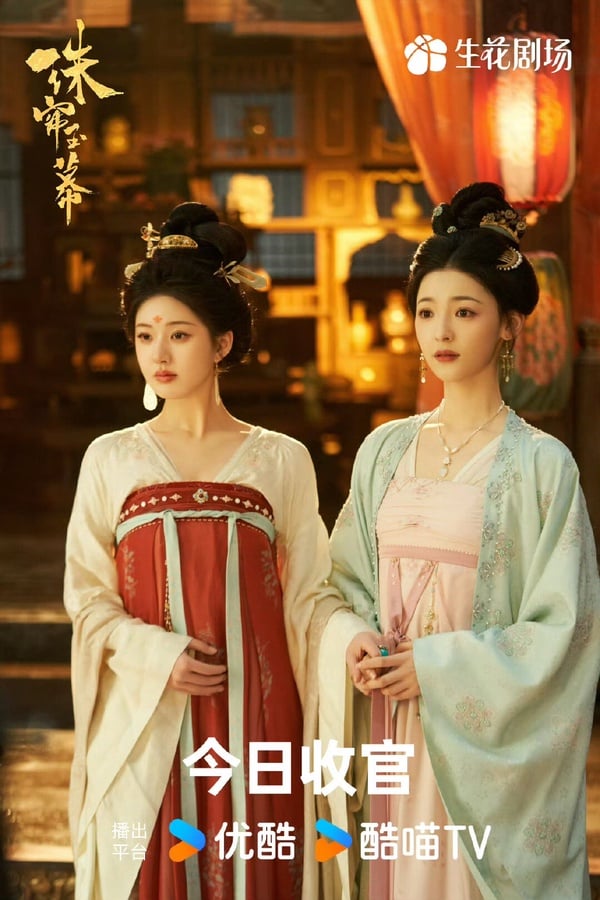 《珠簾玉幕》劇情看點&角色介紹:趙露思首部大女主劇,二搭劉宇寧從商翻轉人生!