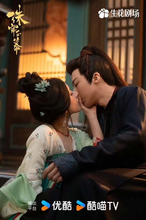 《珠簾玉幕》劇情看點&角色介紹:趙露思首部大女主劇,二搭劉宇寧從商翻轉人生!