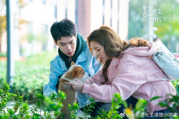 10部2024下半年「糖份滿滿」甜寵陸劇！《你比星光美麗》必追，第7、8部小甜劇絕對高糖