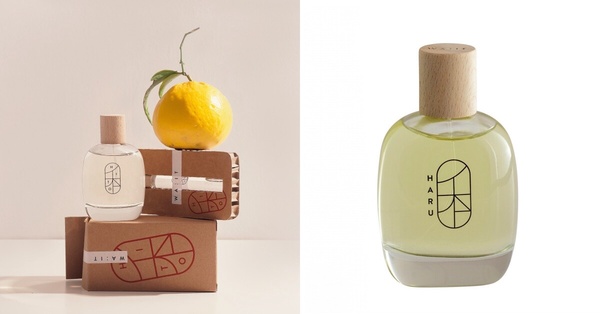 2024夏天香水十款推薦:LOEWE、香奈兒花香調清新耐聞,「這款」當作早晨喚醒香太治癒