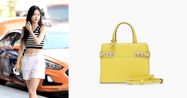 2024夏日多巴胺色系精品包10：DELVAUX Tempête Crush Small 