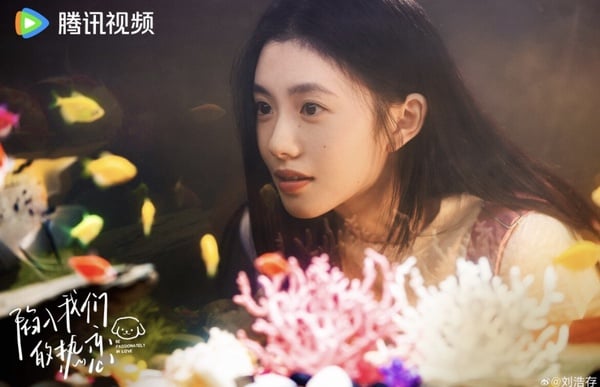 《陷入我們的熱戀》劇情五大看點＆角色介紹：劉浩存、王安宇上演高顏值青春純愛！