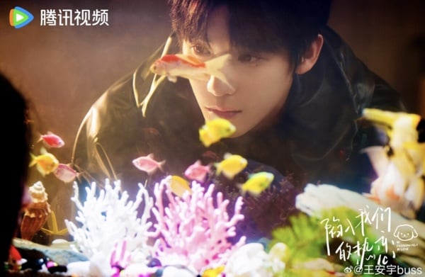 《陷入我們的熱戀》劇情五大看點＆角色介紹：劉浩存、王安宇上演高顏值青春純愛！