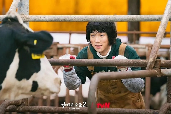《Sweet Home3》被批歹戲拖棚!口碑崩壞韓劇續集,《姜南順》毀經典,只有這部封神了