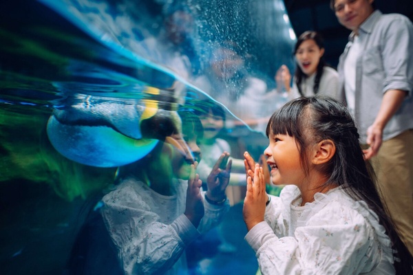 香港必訪景點！「香港海洋公園」玩法攻略，刺激遊樂設施、海岸纜車、香港復古小吃都有