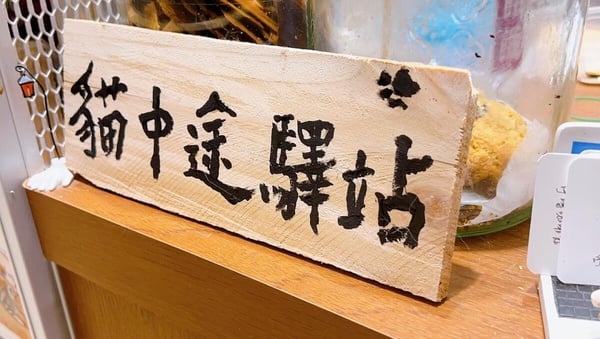 浪浪居然可以在咖啡廳領養得到？！精選推薦5間浪式咖啡廳！