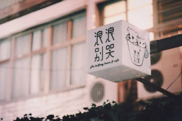 浪浪居然可以在咖啡廳領養得到？！精選推薦5間浪式咖啡廳！