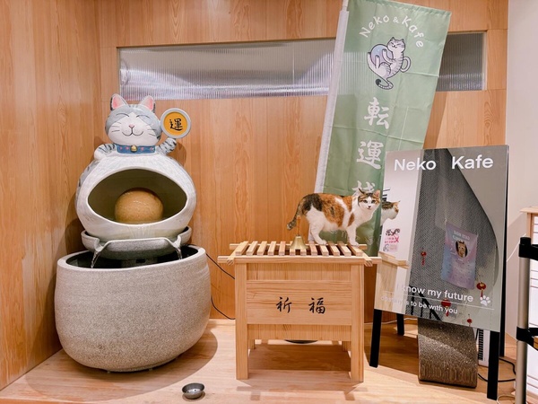 浪浪居然可以在咖啡廳領養得到？！精選推薦5間浪式咖啡廳！