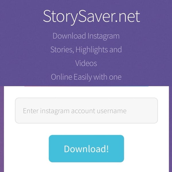匿名偷看限時動態方法3：Storysaver.net