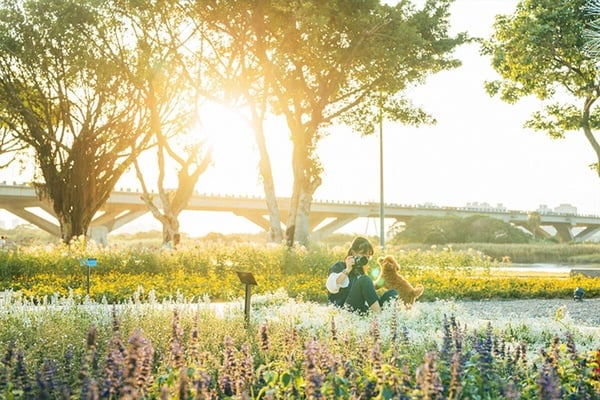 七夕情人節台北新北情侶約會地標景點推薦16：延平河濱公園