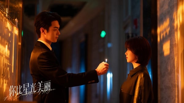 10部Netflix沒播但「真值得追」甜寵陸劇!《私藏浪漫》好看,還有2部錯過可惜的黑馬劇