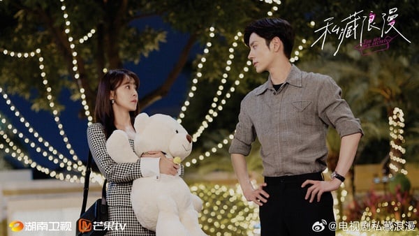 10部Netflix沒播但「真值得追」甜寵陸劇!《私藏浪漫》好看,還有2部錯過可惜的黑馬劇