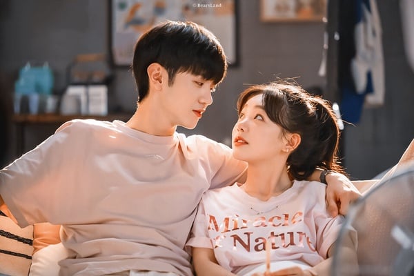 10部Netflix沒播但「真值得追」甜寵陸劇!《私藏浪漫》好看,還有2部錯過可惜的黑馬劇