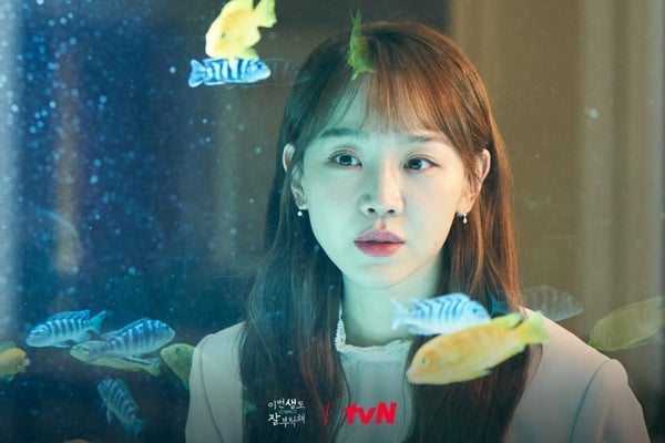 申惠善8部必看韓劇：《哲仁王后》爆笑經典，《僅此一次的愛情》《三達里》不可錯過！