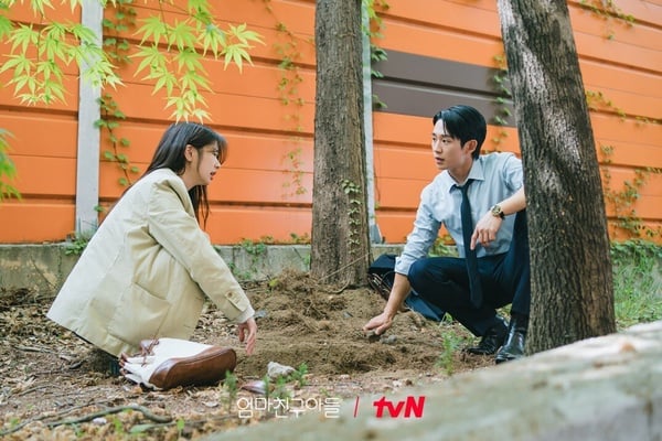 網批《媽媽朋友的兒子》丁海寅&amp;庭沼珉沒CP感？韓網評價公開，劇情太鬆散，這點最可惜