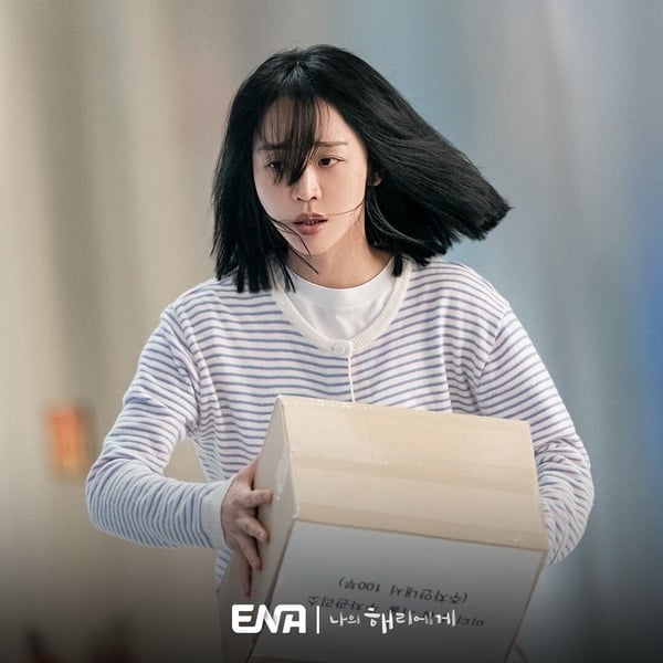 網議9月最期待韓劇TOP6！申惠善《致我的解離》第3，朴信惠《來自地獄的法官》全網期待