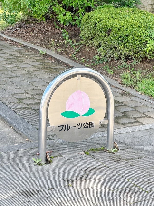 日本山梨縣必去景點推薦6.山梨縣笛吹川水果公園