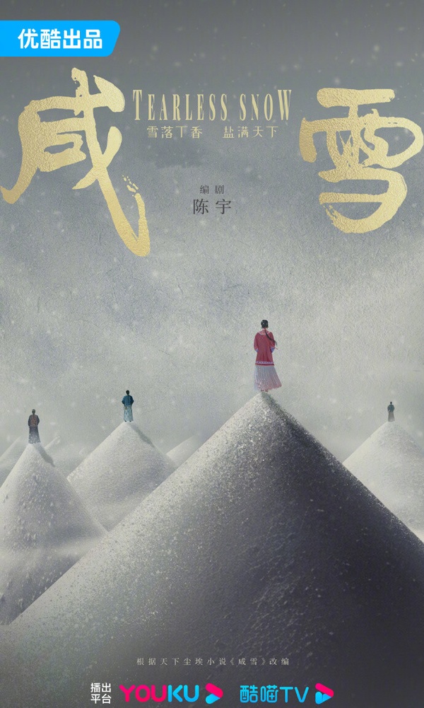 《柳舟記》播完《蜀錦人家》又一部經商古裝劇!9部大女主經商陸劇，趙露思這部爆款預定