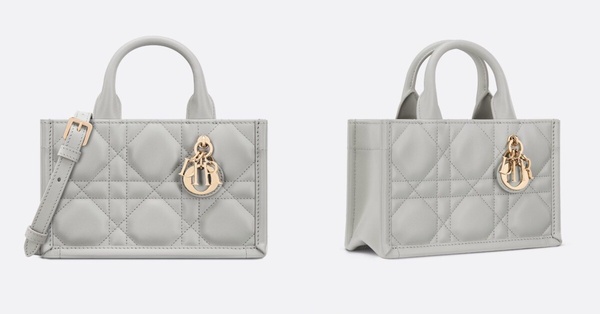 Dior新包推薦：Book Tote 迷你托特包，NT$83,000