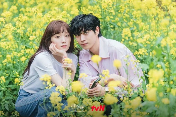 日網票選「近年最佳韓劇CP」TOP10!IU&李準基第9,金秀賢&金智媛第3,冠軍真超越不了