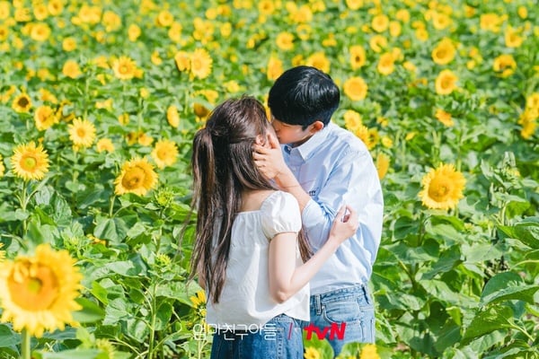 《媽媽朋友的兒子》劇情預測！承效石榴戀情遭父母反對？網猜妍斗不是姜專浩親生女兒？