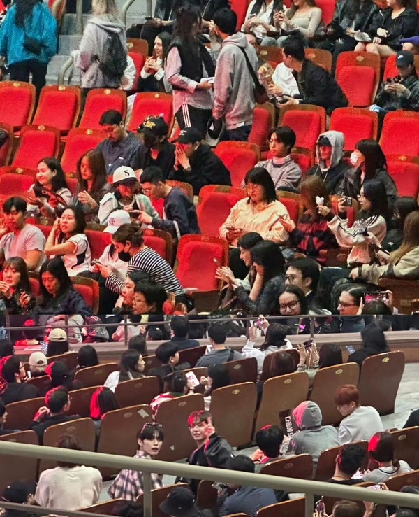 2NE1首爾場演唱會大成功！YG FAMILY重聚、盤點到場支持的藝人們
