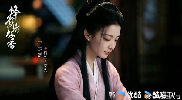 《烽影燃梅香》劇情五大看點＆角色介紹：雙魂殺手王楚然，攜手少年將軍李宏毅！