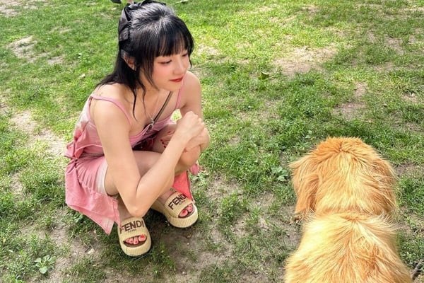 「ENFJ主人公」隱藏的情感需求