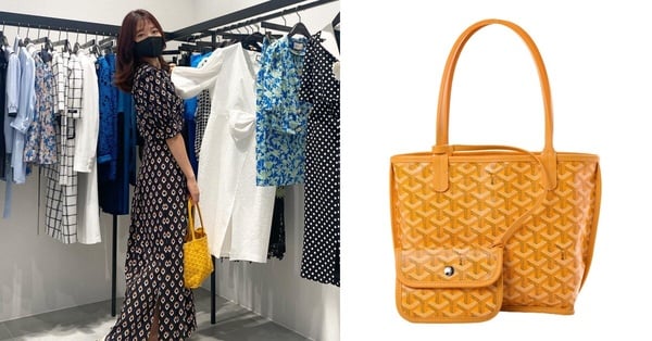 《來自地獄的法官》朴信惠精品包收藏：Goyard Anjou mini Tote