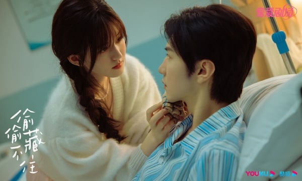 10部「一追停不下來」Netflix陸劇!《玫瑰的故事》比《半熟男女》好評,有兩部隱藏好劇
