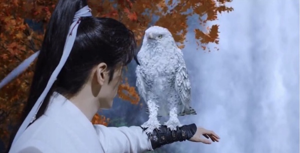 《七夜雪》開播五大評價：