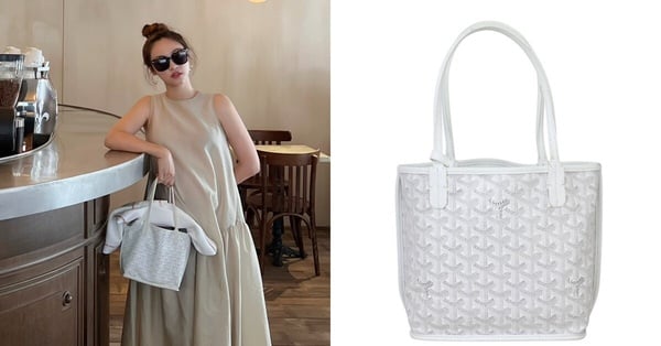 吳姍儒精品包收藏：Goyard Anjou mini Tote